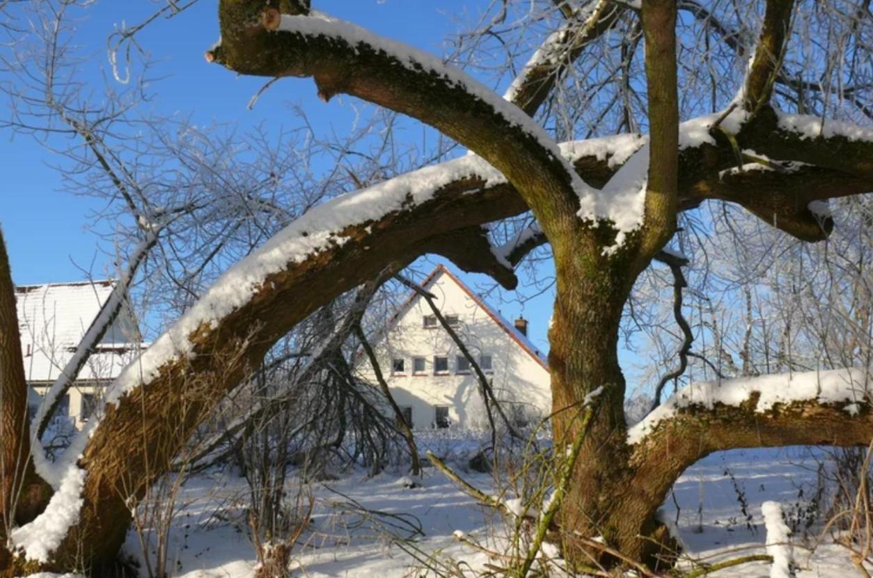 Kulturgutleben Boutiquehotel Seminarhaus Mollenbeck Esterno foto